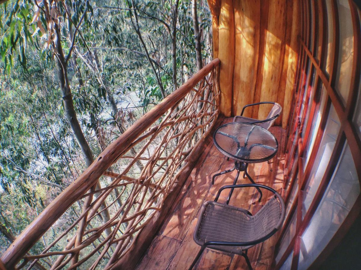 Eco Quechua Lodge Santa Teresa  Exteriör bild