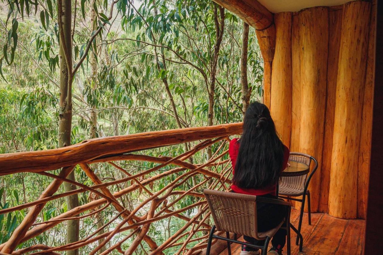 Eco Quechua Lodge Santa Teresa  Exteriör bild